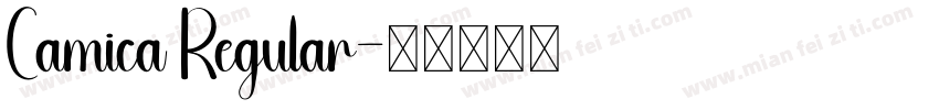 Camica Regular字体转换